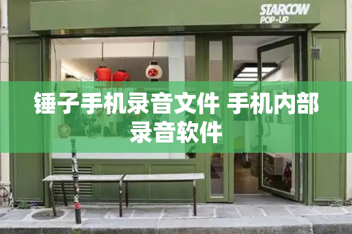 锤子手机录音文件 手机内部录音软件-第1张图片-星选测评