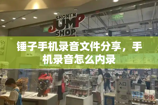 锤子手机录音文件分享，手机录音怎么内录
