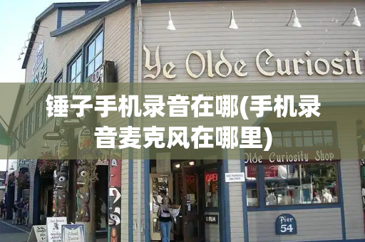 锤子手机录音在哪(手机录音麦克风在哪里)