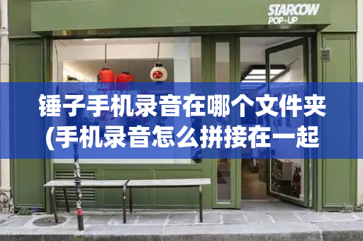 锤子手机录音在哪个文件夹(手机录音怎么拼接在一起)