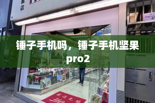 锤子手机吗，锤子手机坚果pro2-第1张图片-星选测评