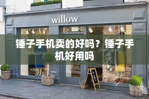 锤子手机卖的好吗？锤子手机好用吗-第1张图片-星选测评