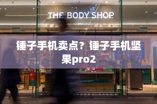 锤子手机卖点？锤子手机坚果pro2