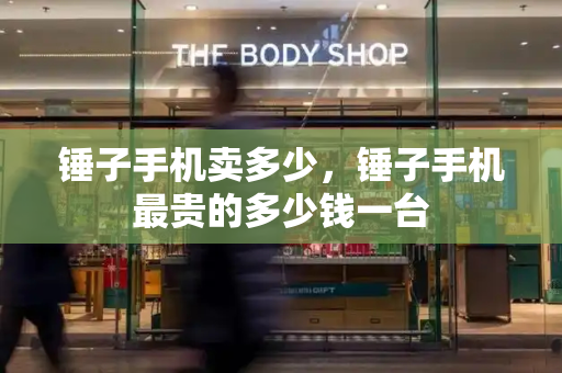 锤子手机卖多少，锤子手机最贵的多少钱一台-第1张图片-星选测评