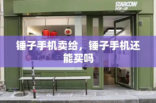 锤子手机卖给，锤子手机还能买吗-第1张图片-星选测评