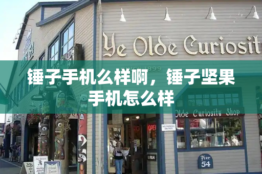 锤子手机么样啊，锤子坚果手机怎么样