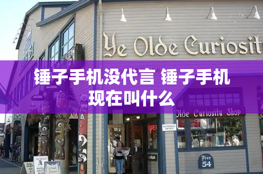 锤子手机没代言 锤子手机现在叫什么-第1张图片-星选测评