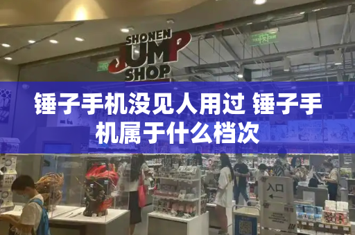 锤子手机没见人用过 锤子手机属于什么档次-第1张图片-星选测评