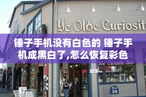 锤子手机没有白色的 锤子手机成黑白了,怎么恢复彩色-第1张图片-星选测评