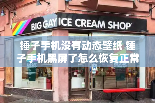 锤子手机没有动态壁纸 锤子手机黑屏了怎么恢复正常-第1张图片-星选测评