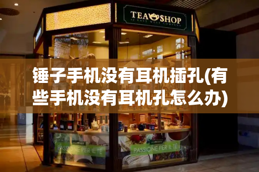 锤子手机没有耳机插孔(有些手机没有耳机孔怎么办)