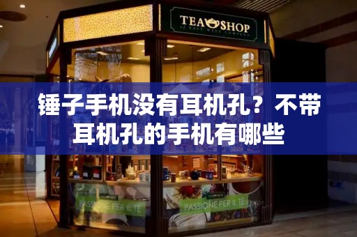 锤子手机没有耳机孔？不带耳机孔的手机有哪些