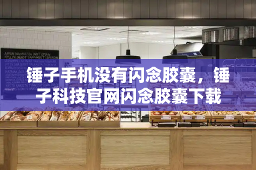锤子手机没有闪念胶囊，锤子科技官网闪念胶囊下载