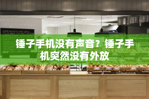 锤子手机没有声音？锤子手机突然没有外放