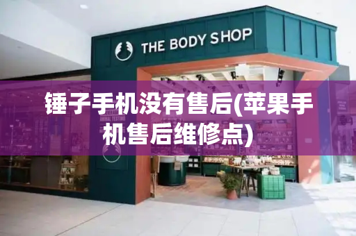 锤子手机没有售后(苹果手机售后维修点)-第1张图片-星选测评