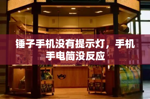 锤子手机没有提示灯，手机手电筒没反应