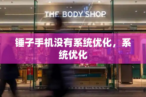 锤子手机没有系统优化，系统优化