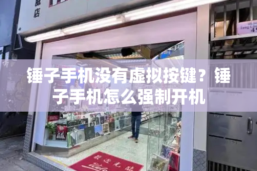 锤子手机没有虚拟按键？锤子手机怎么强制开机-第1张图片-星选测评