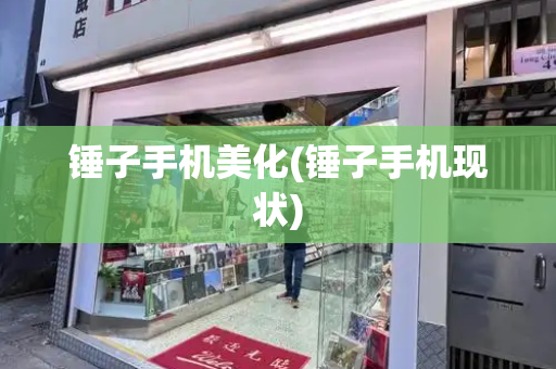 锤子手机美化(锤子手机现状)-第1张图片-星选测评