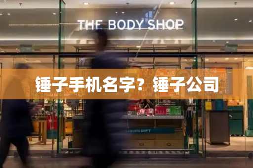 锤子手机名字？锤子公司