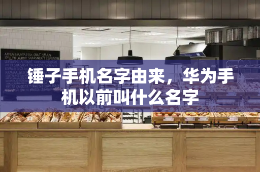 锤子手机名字由来，华为手机以前叫什么名字-第1张图片-星选测评