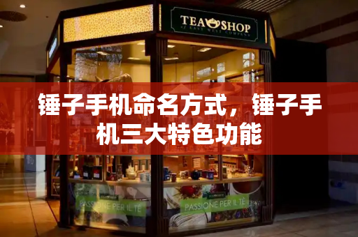 锤子手机命名方式，锤子手机三大特色功能-第1张图片-星选测评