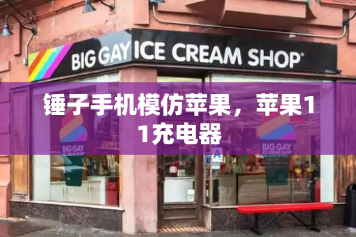 锤子手机模仿苹果，苹果11充电器