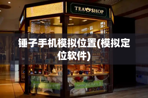 锤子手机模拟位置(模拟定位软件)-第1张图片-星选测评