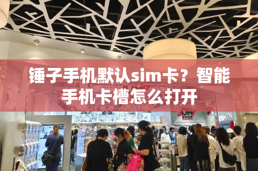 锤子手机默认sim卡？智能手机卡槽怎么打开-第1张图片-星选测评