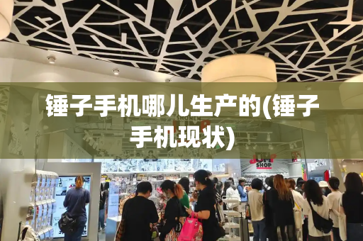锤子手机哪儿生产的(锤子手机现状)-第1张图片-星选测评