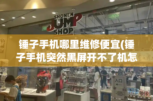 锤子手机哪里维修便宜(锤子手机突然黑屏开不了机怎么办)-第1张图片-星选测评