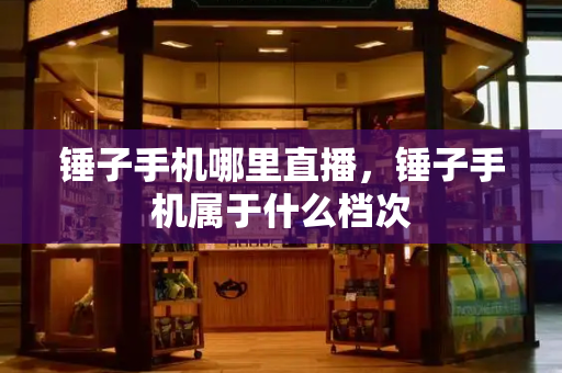 锤子手机哪里直播，锤子手机属于什么档次