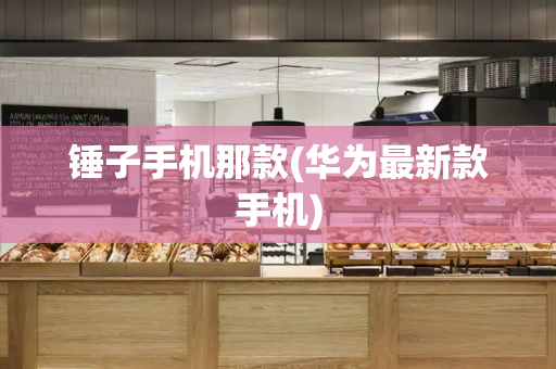 锤子手机那款(华为最新款手机)-第1张图片-星选测评