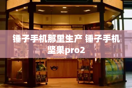 锤子手机那里生产 锤子手机坚果pro2-第1张图片-星选测评