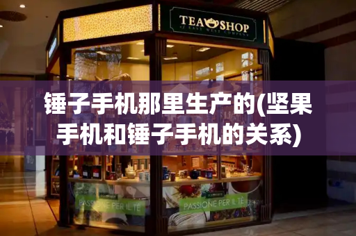 锤子手机那里生产的(坚果手机和锤子手机的关系)
