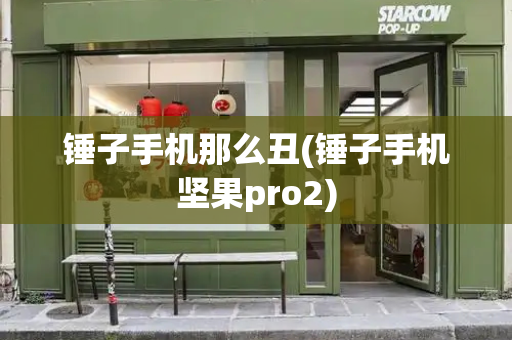 锤子手机那么丑(锤子手机坚果pro2)