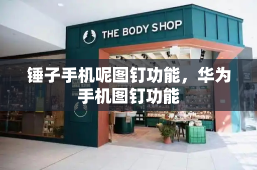 锤子手机呢图钉功能，华为手机图钉功能-第1张图片-星选测评