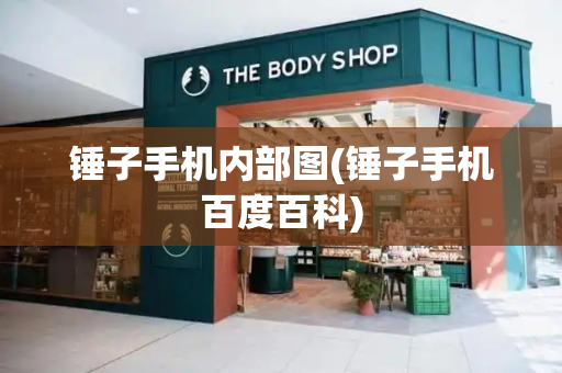 锤子手机内部图(锤子手机百度百科)