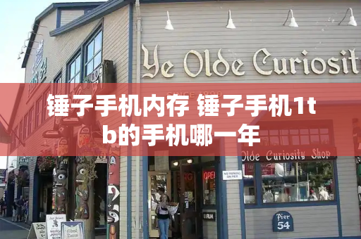锤子手机内存 锤子手机1tb的手机哪一年-第1张图片-星选测评
