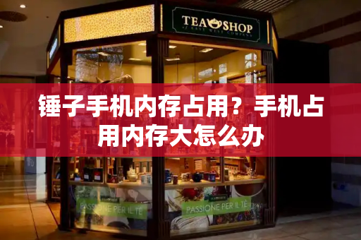 锤子手机内存占用？手机占用内存大怎么办