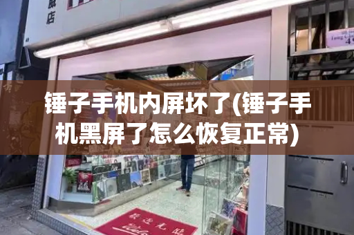 锤子手机内屏坏了(锤子手机黑屏了怎么恢复正常)-第1张图片-星选测评