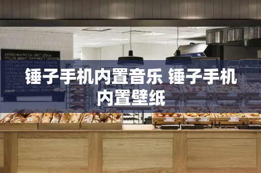锤子手机内置音乐 锤子手机内置壁纸-第1张图片-星选测评