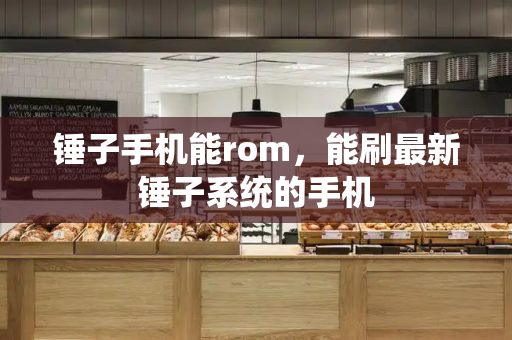 锤子手机能rom，能刷最新锤子系统的手机