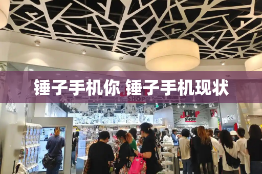 锤子手机你 锤子手机现状-第1张图片-星选测评