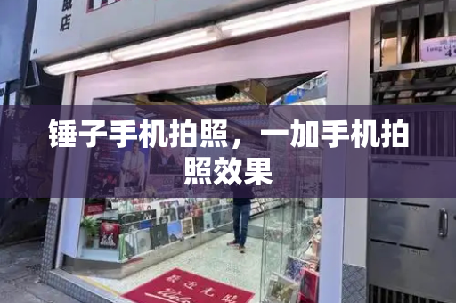 锤子手机拍照，一加手机拍照效果-第1张图片-星选测评