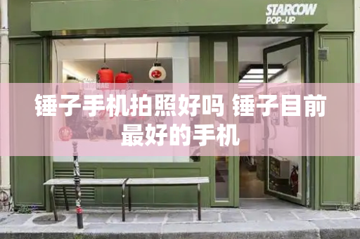 锤子手机拍照好吗 锤子目前最好的手机-第1张图片-星选测评