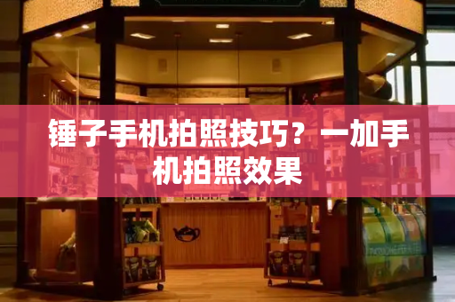 锤子手机拍照技巧？一加手机拍照效果-第1张图片-星选测评