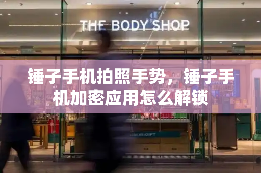 锤子手机拍照手势，锤子手机加密应用怎么解锁-第1张图片-星选测评