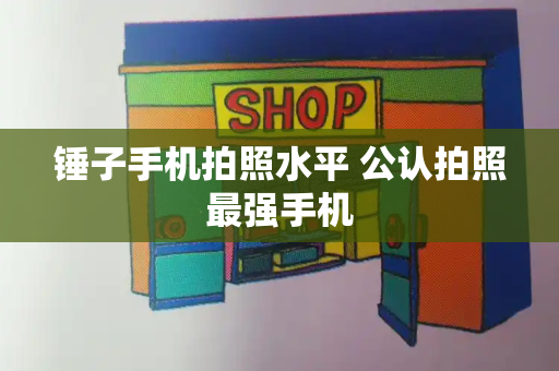 锤子手机拍照水平 公认拍照最强手机-第1张图片-星选测评