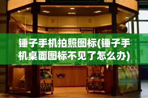 锤子手机拍照图标(锤子手机桌面图标不见了怎么办)-第1张图片-星选测评
